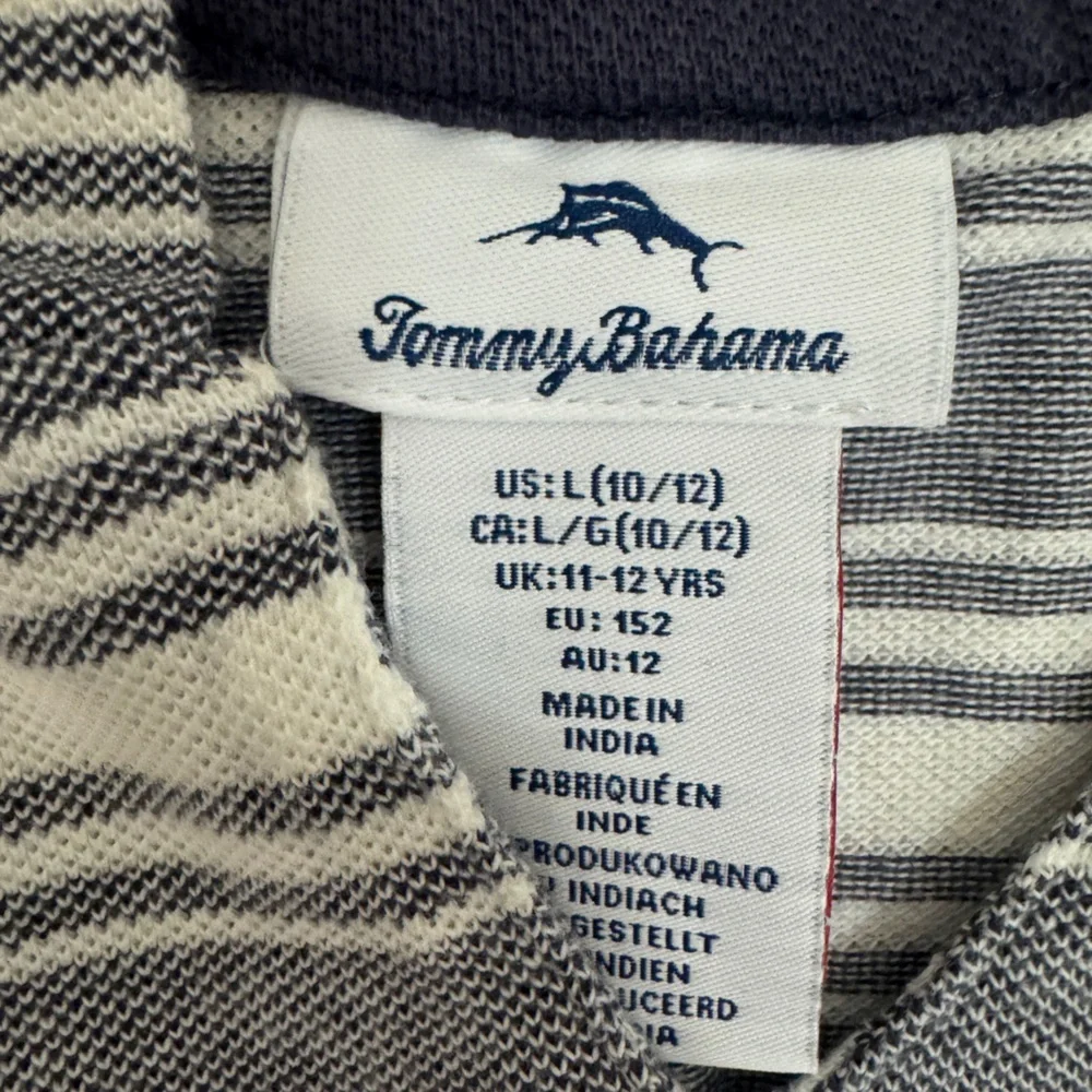 Tommy Bahama Kids Striped Hoodie - Gray and White
